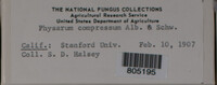 Image Associated With the Occurence